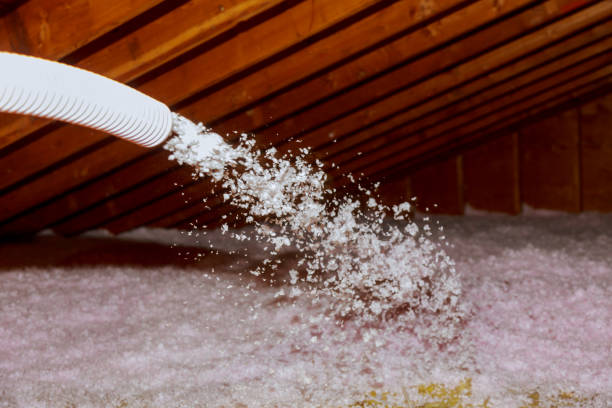Best Attic Insulation Installation  in Athens, TX