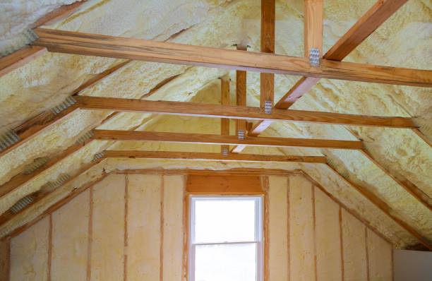 Best Insulation Contractors for Homes  in Athens, TX
