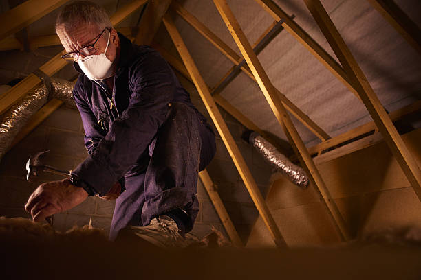 Best Attic Insulation Installation  in Athens, TX