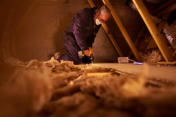 Best Energy-efficient Insulation  in Athens, TX